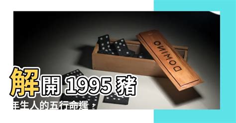 1995 五行